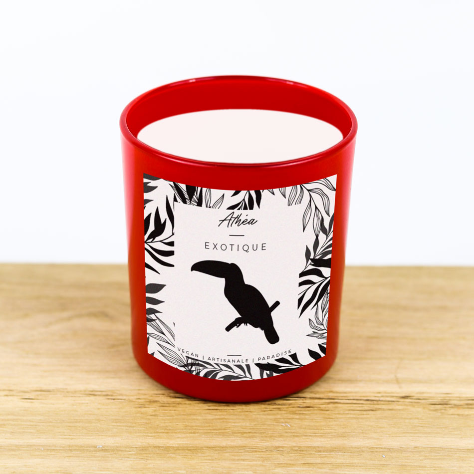 Bougie rouge animaux exotique toucan
